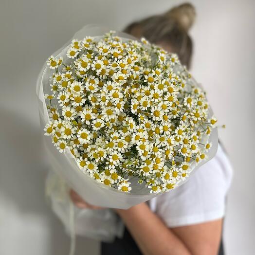 «Солнечные поля» 🌼