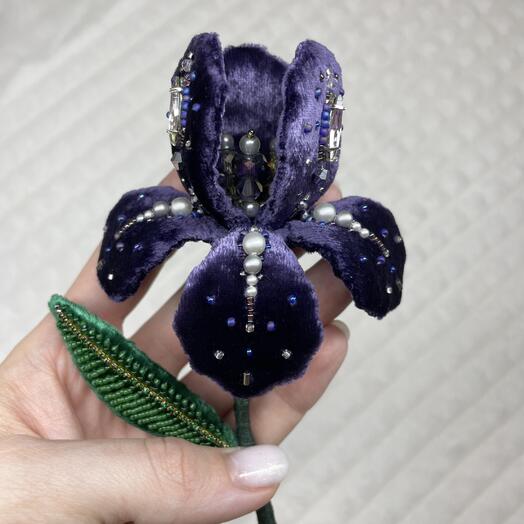Королевский Ирис