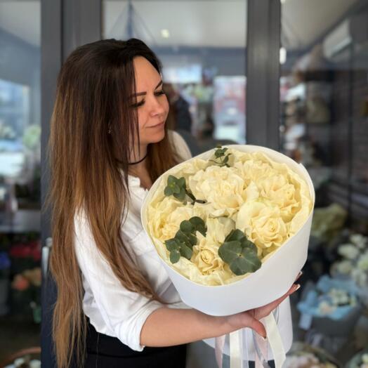 Роза белая  Французская