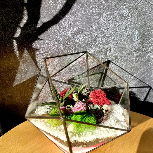 Флорариум - подарок на день рождения
