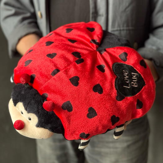 Игрушка мягкая  прикольная Божья коровка