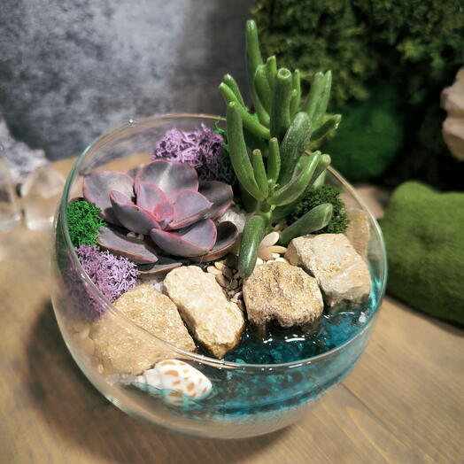 Флорариум с суккулентами "Море"