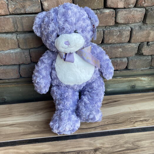 Bear purple 55 cm
