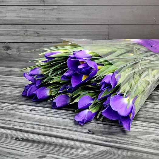 Пачка (50 шт.) Ирис Блю Меджик 60 см Арт. Fc02026c