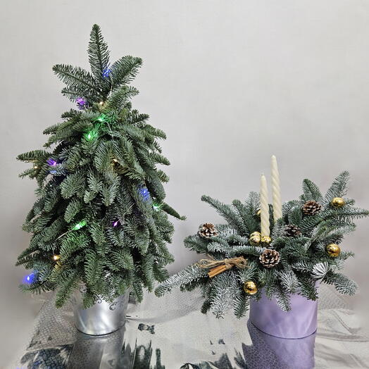 Новогодний набор из ёлочки и новогодней композиции с свечами из живых веток ели . Нобилиса