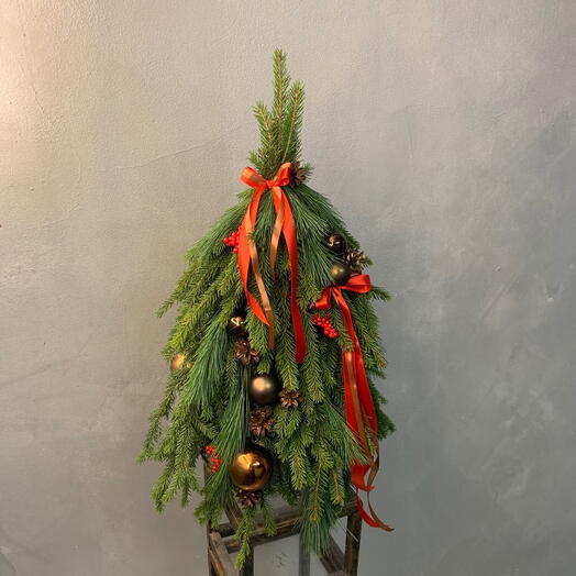 Елка 70см живая на Крещение/Рождество /Новый год