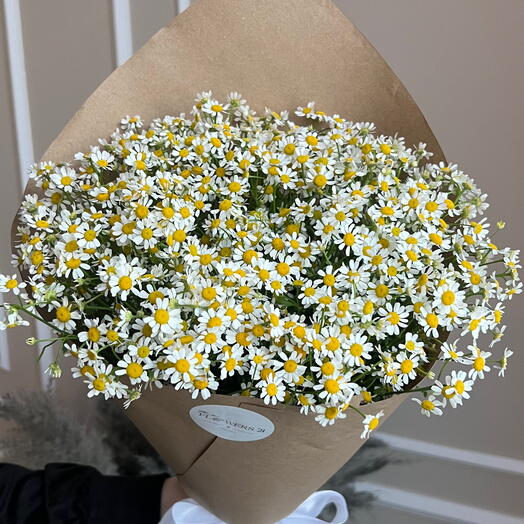 Танацетум💐