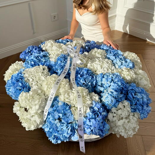 31 гортензии в корзине