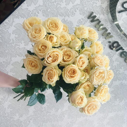 Роза кустовая кремовая