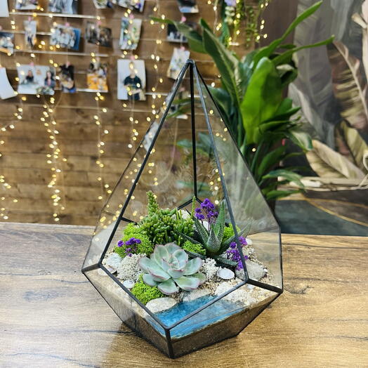 Флорариум в форме Капля S