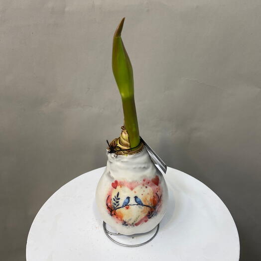 Амарилис Птички