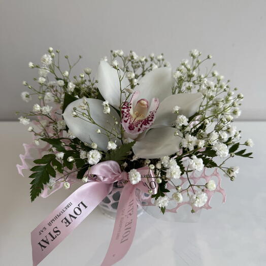 Композиция мини «Десерт-комплимент» с орхидеей, гипсофилой и пааопртником