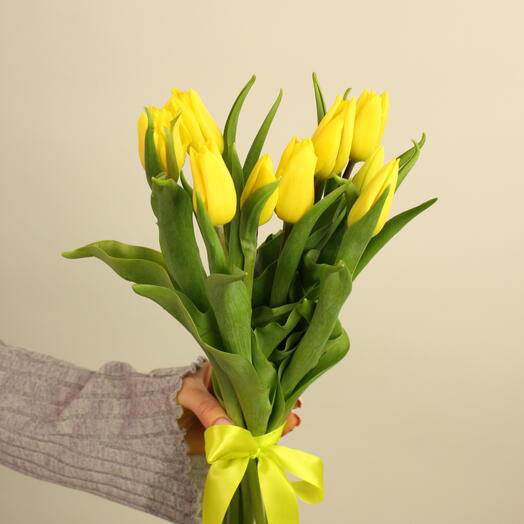 9 желтых тюльпанов с лентой