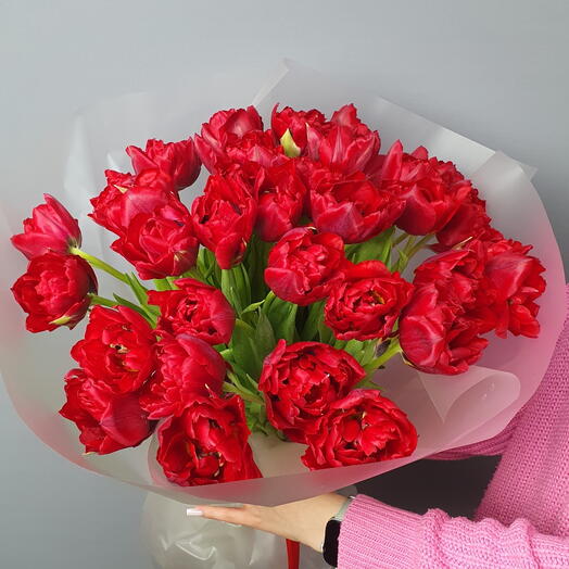 Букет из 35 красных пионовидных тюльпанов к 8 марта