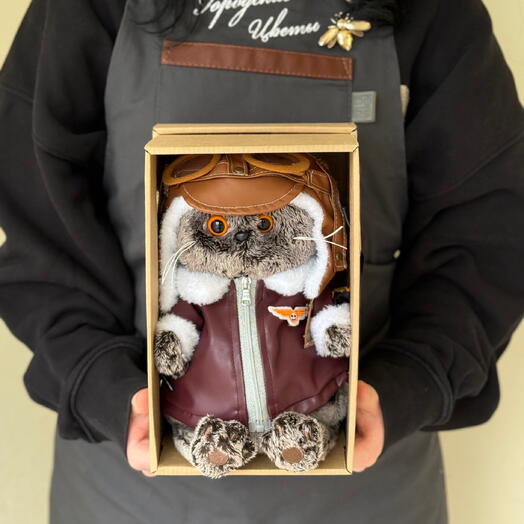Мягкая игрушка кот Басик