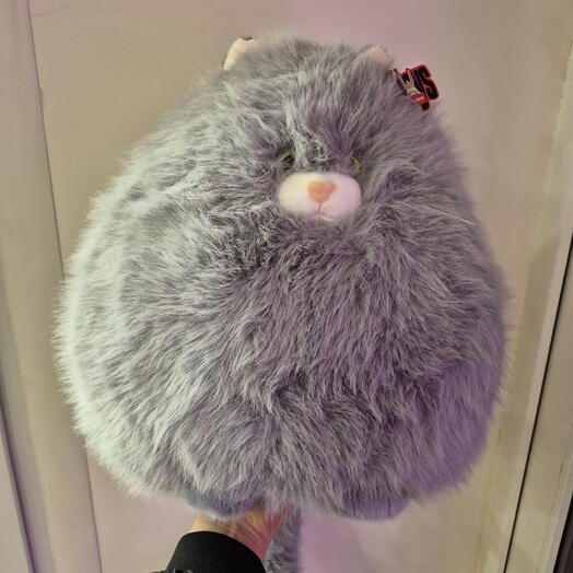 Толстый коти