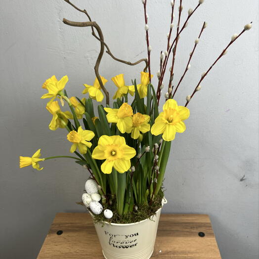 Пасхальная композиция из нарциссов с вербой