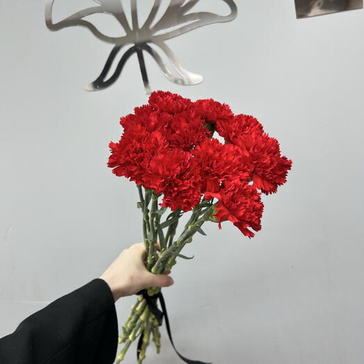 Красные гвоздики 10 штук