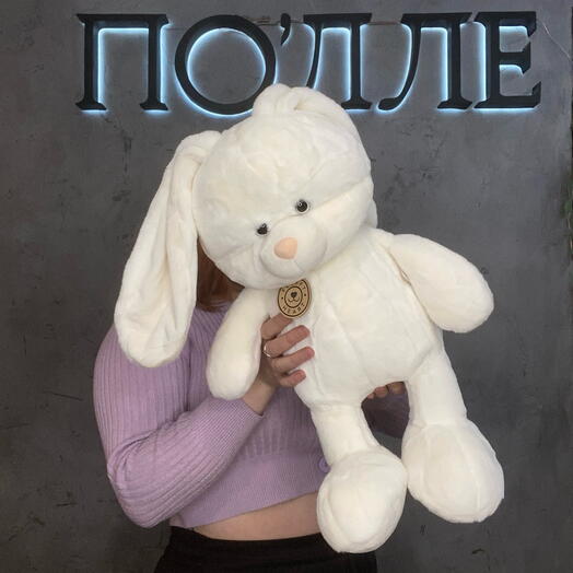 Милый зайка