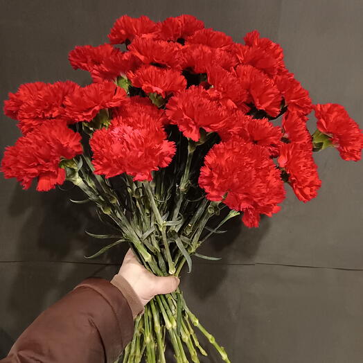 Гвоздика красная 30 штук