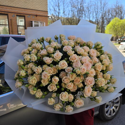 Розы Тата