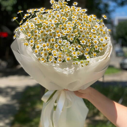 Ромашка
