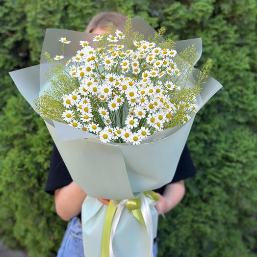 Ромашковый бум