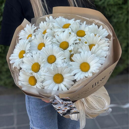 Ромашковое поле