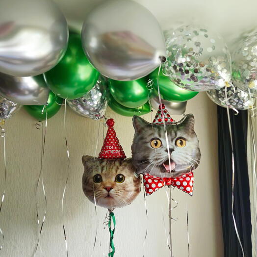 Шары зеленые,серебрянные хром и конфетти и котики,кошки,коты,котята для сына,дочки,девочки, девушки-15шаров