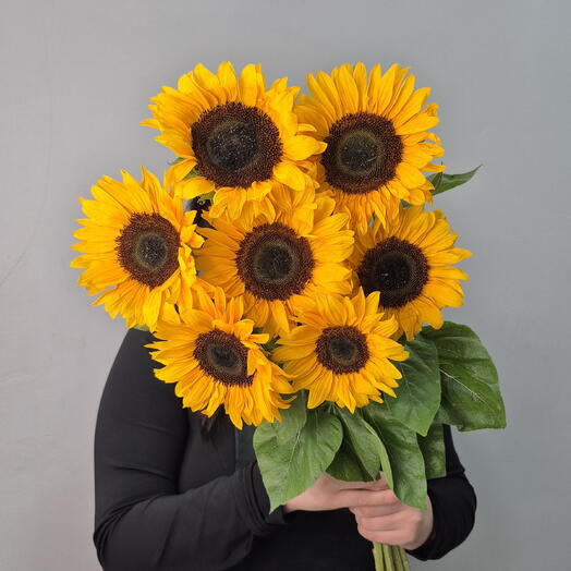 🔥АКЦИЯ🔥7 солнечных подсолнух 🌻
