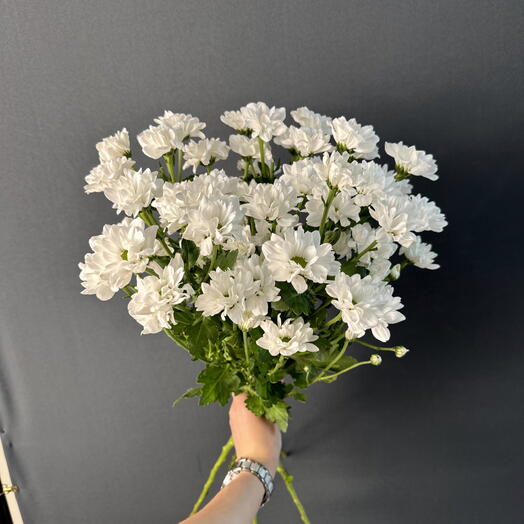 Букет из кустовых хризантем 🤍