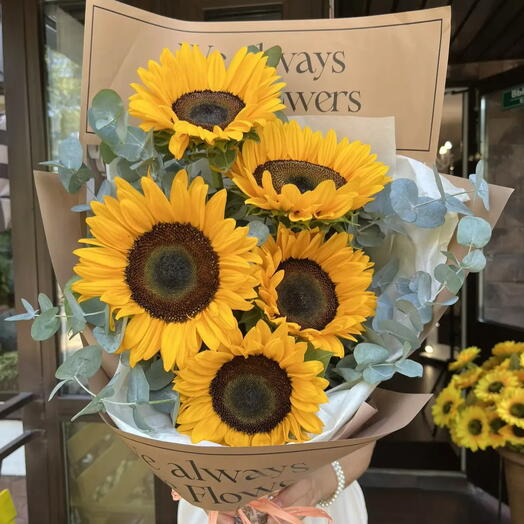 Солнечные подсолнухи 🌻