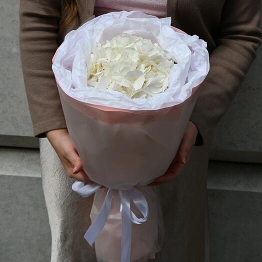 Монобукет-комплимент из белой голландской гортензии