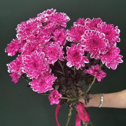 3 хризантемы кустовые под ленту💐