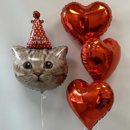 Воздушные шары с котиком котом на день рождения