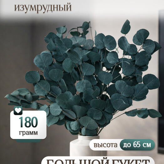 Эвкалипт Популус изумрудный 180г Высший сорт М689