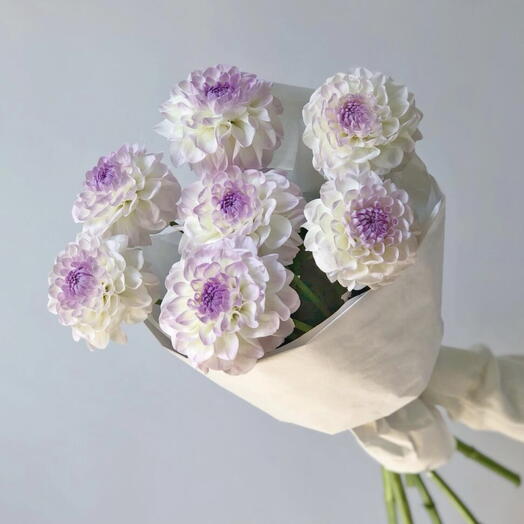 Георгины💜 Букет из 7 георгин