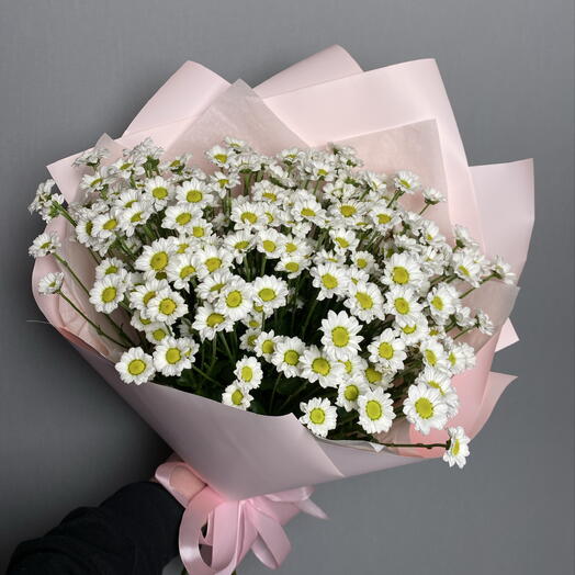 Букет ромашковых хризантем 🩷🌼