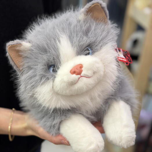 Милая кошечка