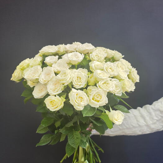 роза кустовые 25 шт