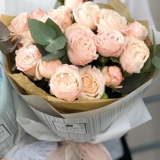 Rosetas de peonía tiernas de arbusto