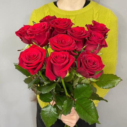 Ramo de Rosas Rojas (9 piezas)