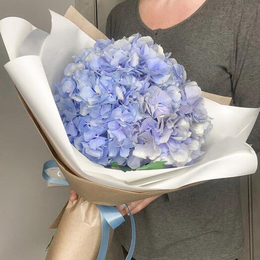 Blue hydrangeas