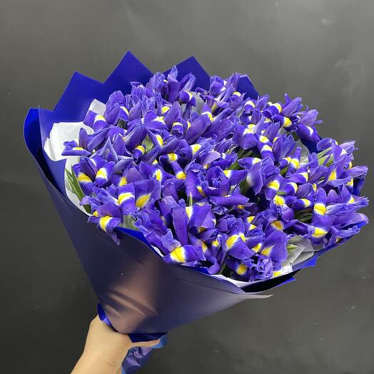 Bouquet of 49 Iris