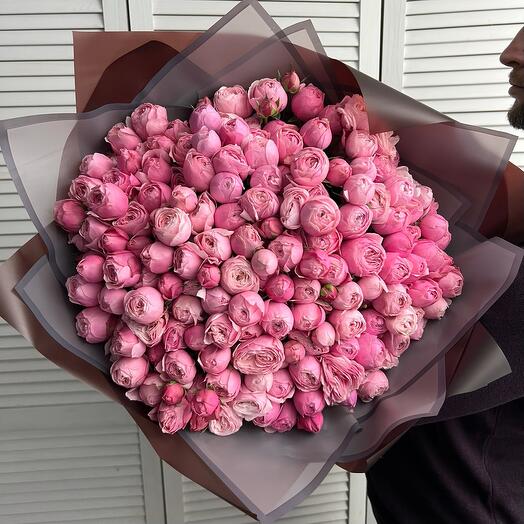 51 peony-shaped bush rose