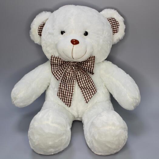 Oso blanco