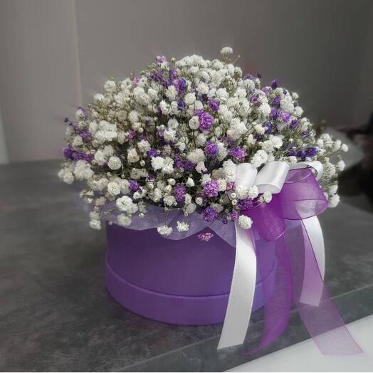 Caja de gypsophila