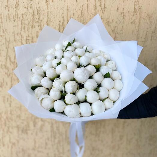 White peonies 51pcs