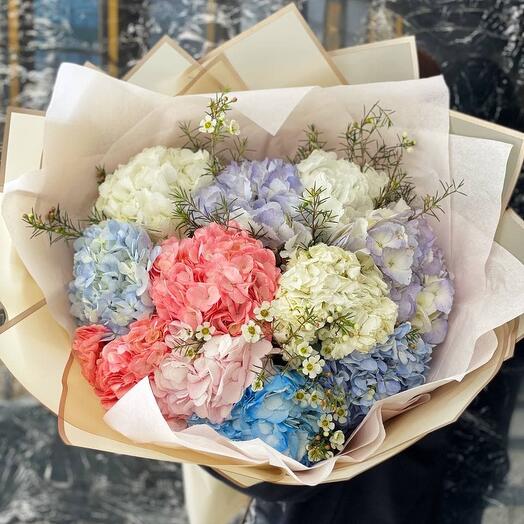 Hydrangeas mix 11 pcs