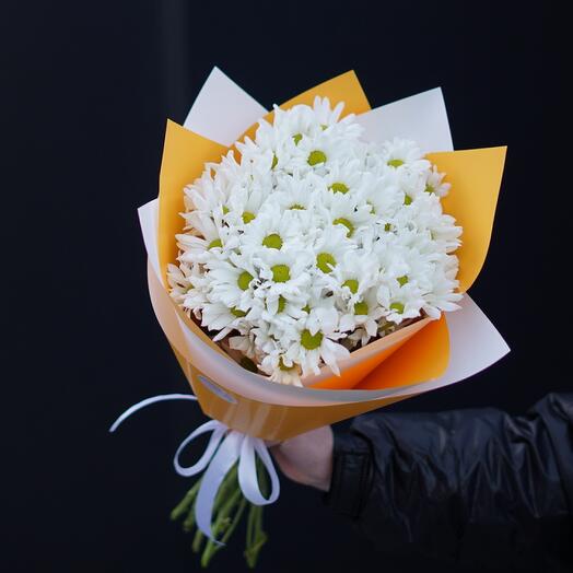 Daisies (Chrysanthemum)